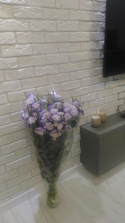 Apartament Lux Sect. Riscani تشيسيناو المظهر الخارجي الصورة